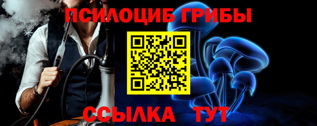 Псилоцибиновые грибы Cubensis  Галлюциногенные грибы мухоморы  Вход с VPN  Туймазы 